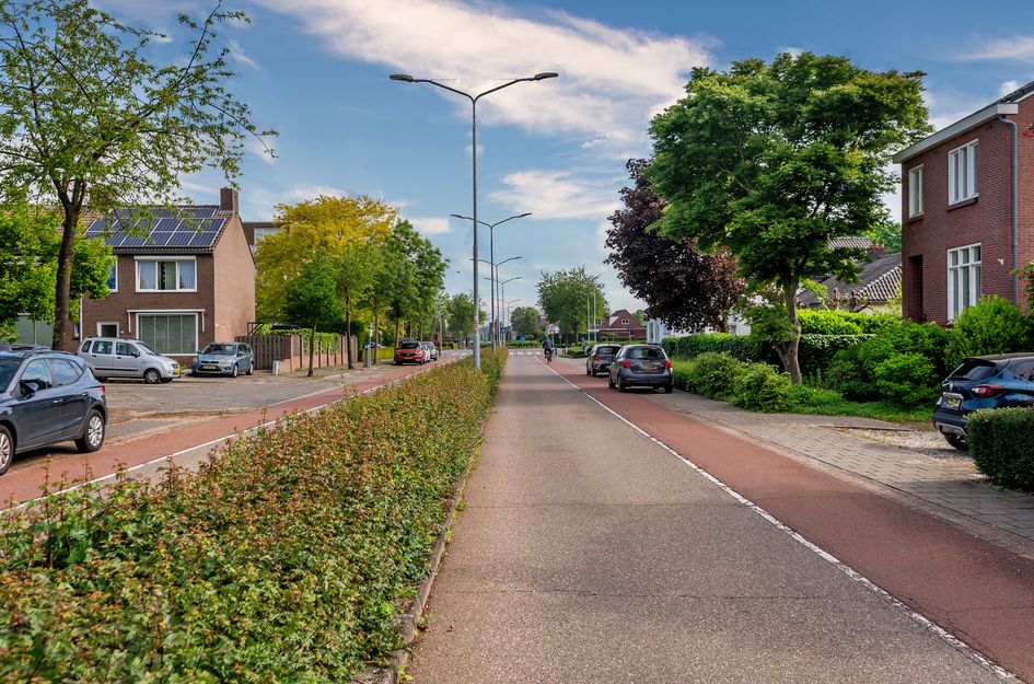 Paardebloem 1