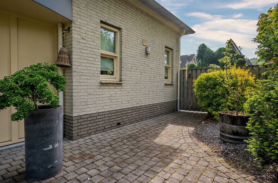 Paardebloem 1