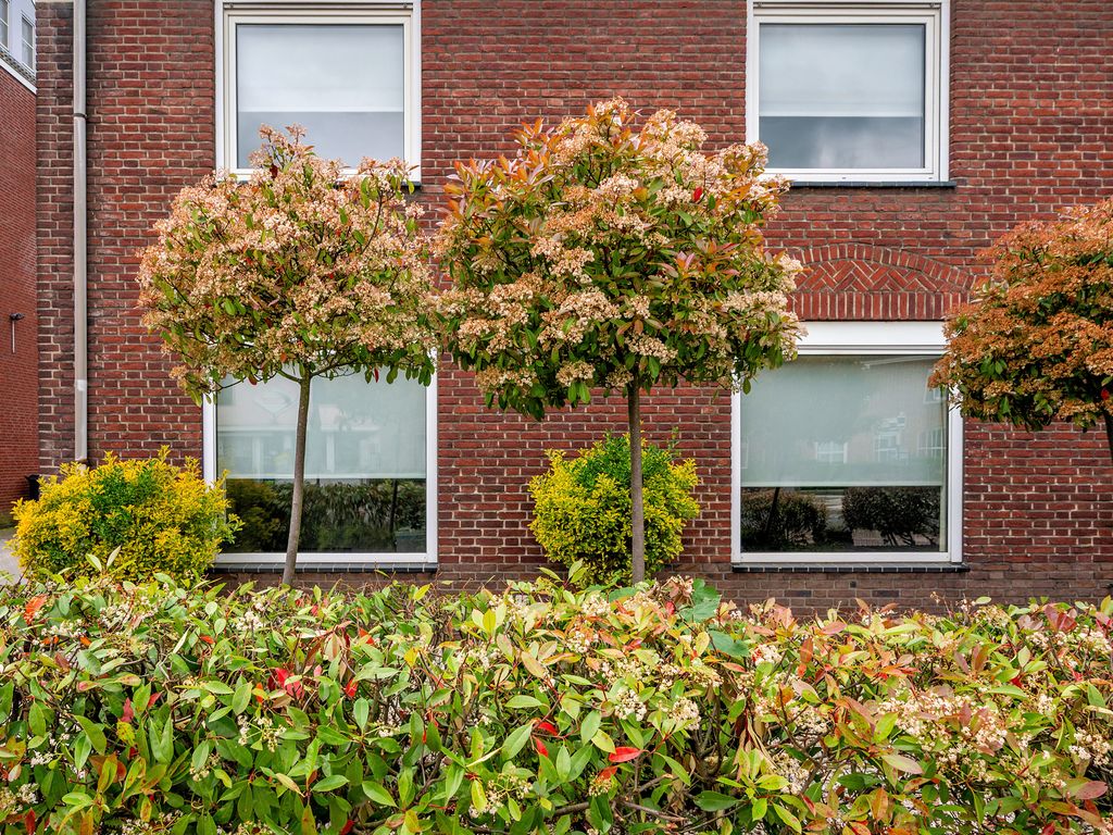 Rijksweg 94, VELDEN