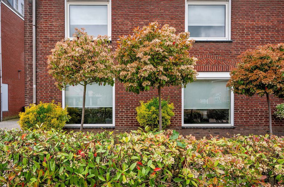 Rijksweg 94