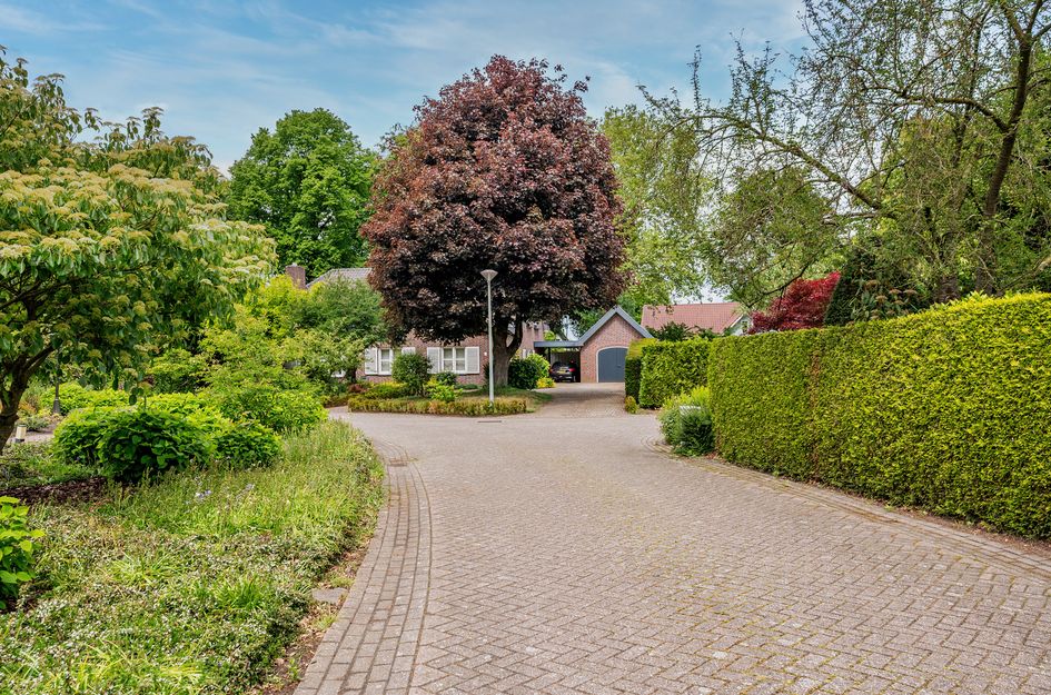 De Wiers 8