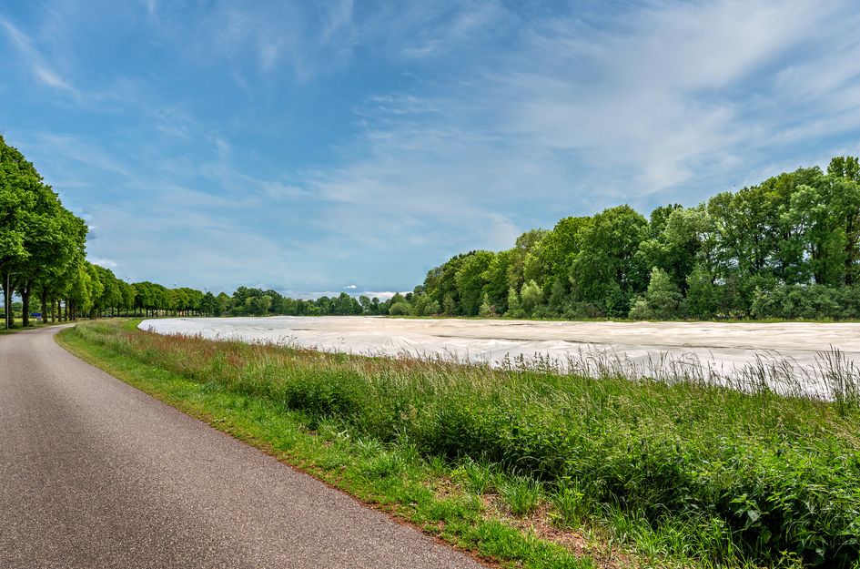 De Wiers 8