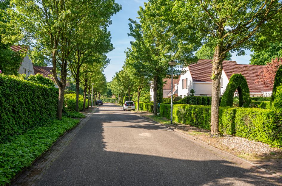 Rozenweg 7