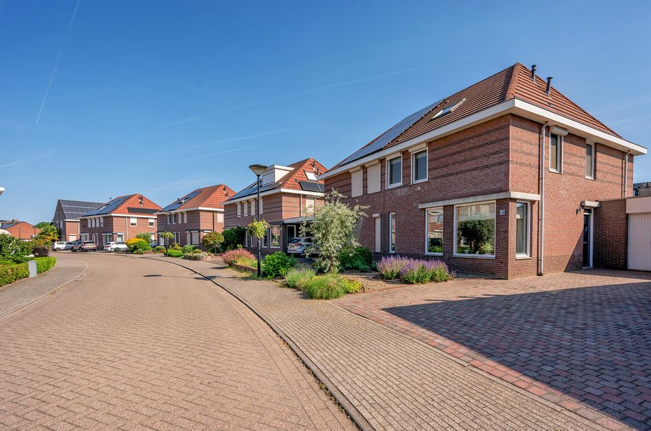 Robijn 17