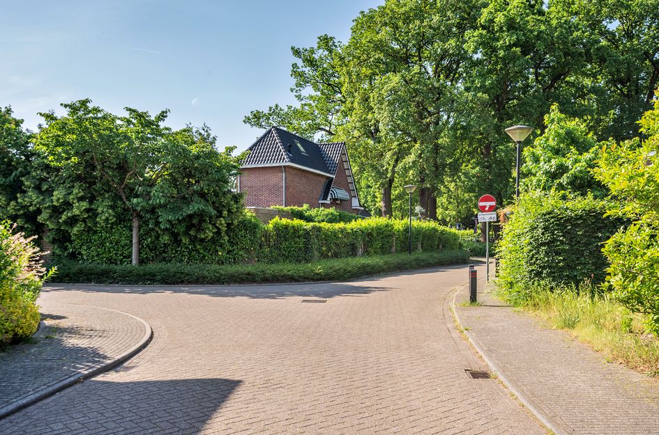 Robijn 17