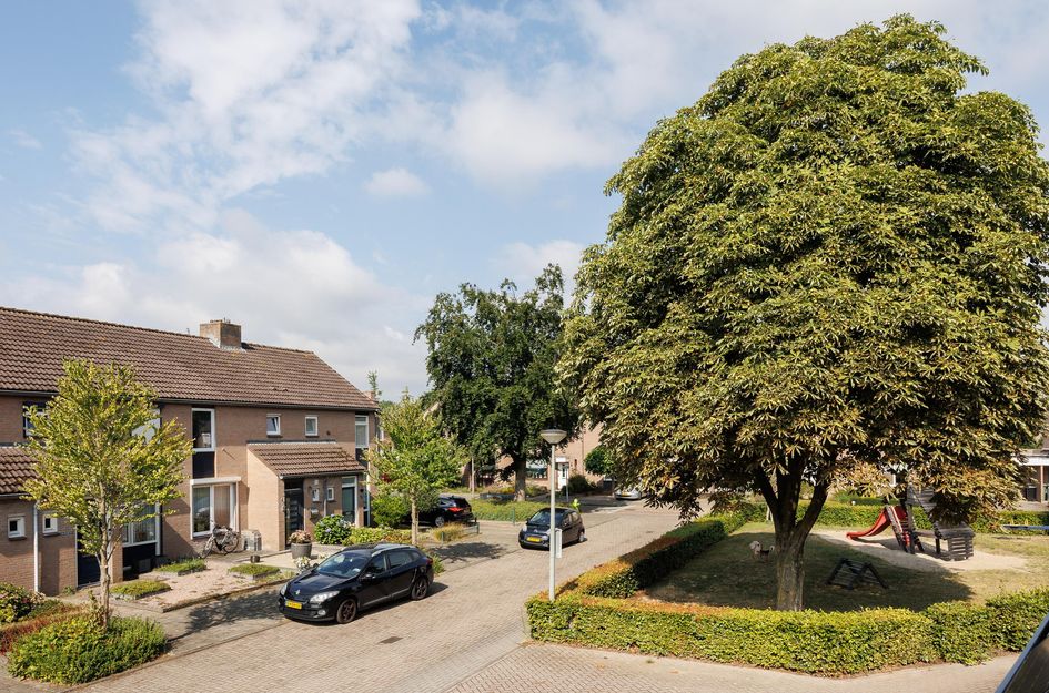 Van Renessestraat 11