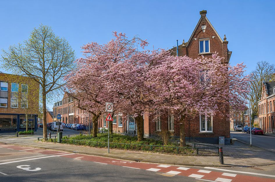 Herungerstraat 2