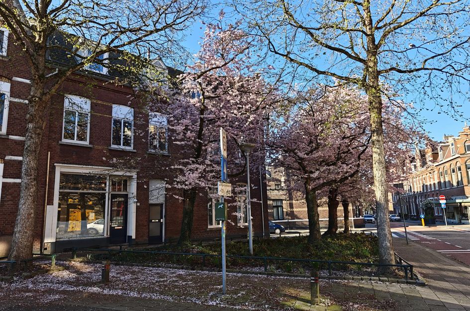 Herungerstraat 2