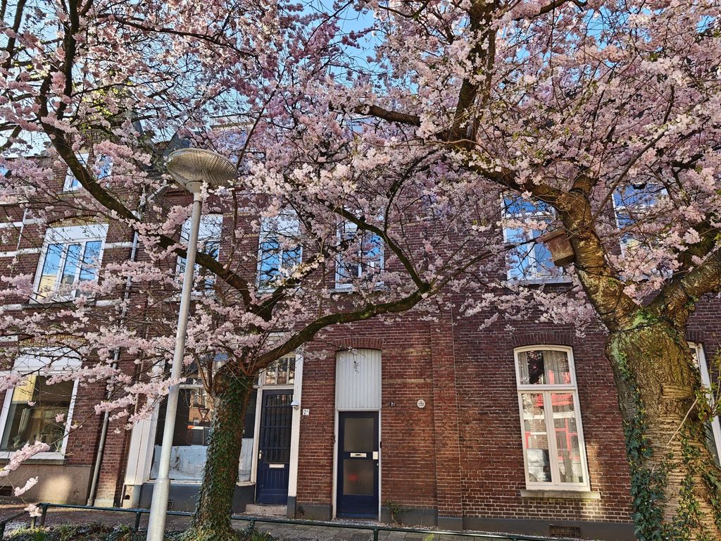 Herungerstraat 2, VENLO