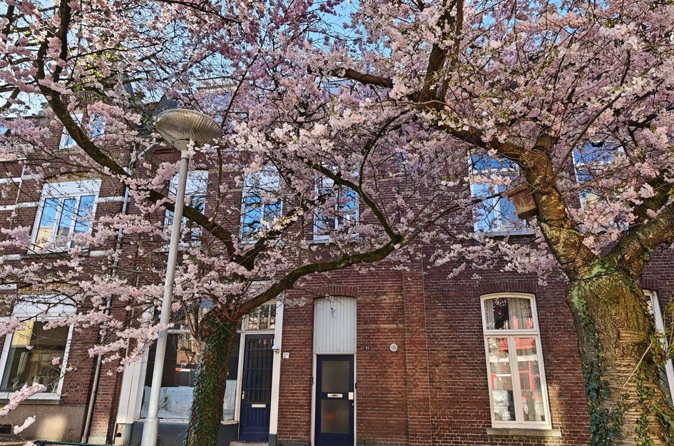Herungerstraat 2