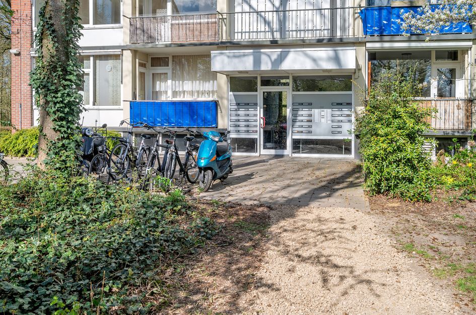 Rijnbeekstraat 432