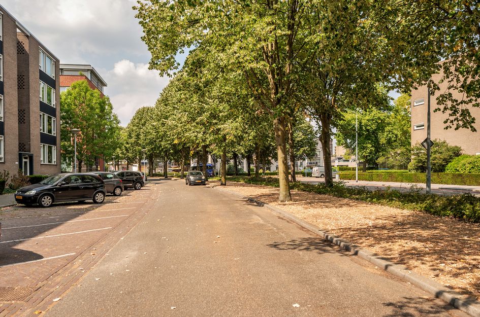 Karel van Egmondstraat 196