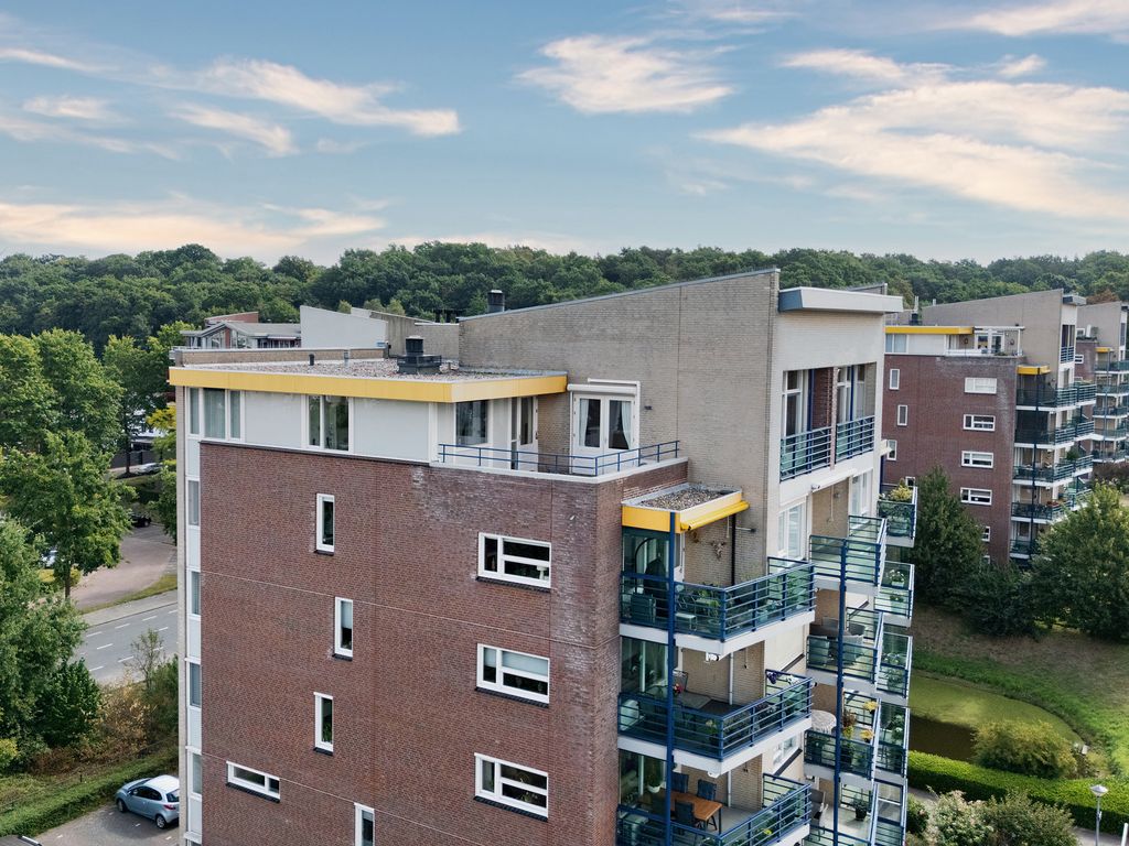 Veldzuring 53, VENLO