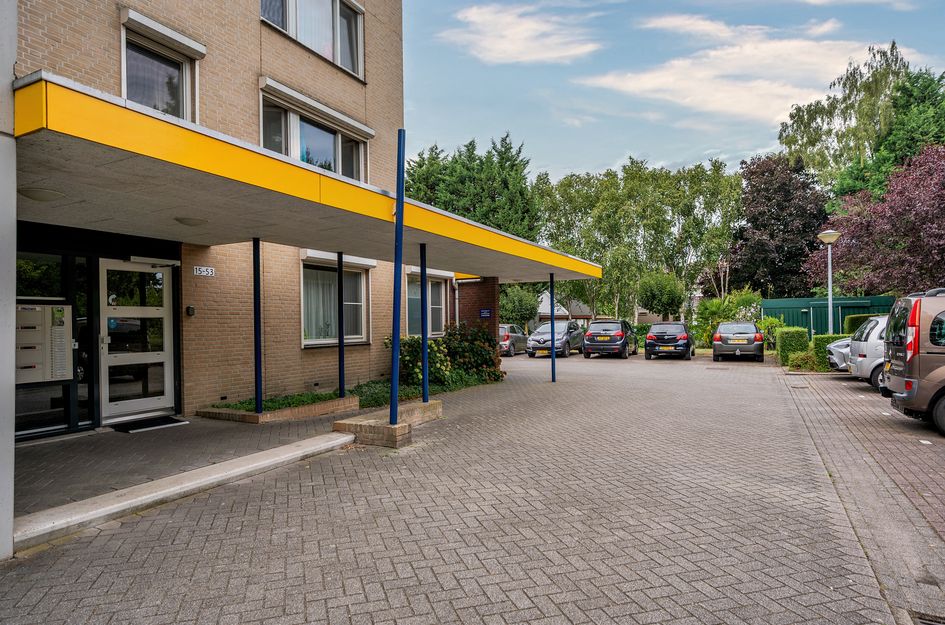 Veldzuring 53