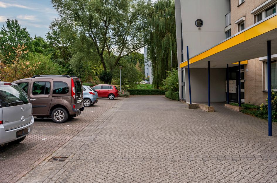 Veldzuring 53
