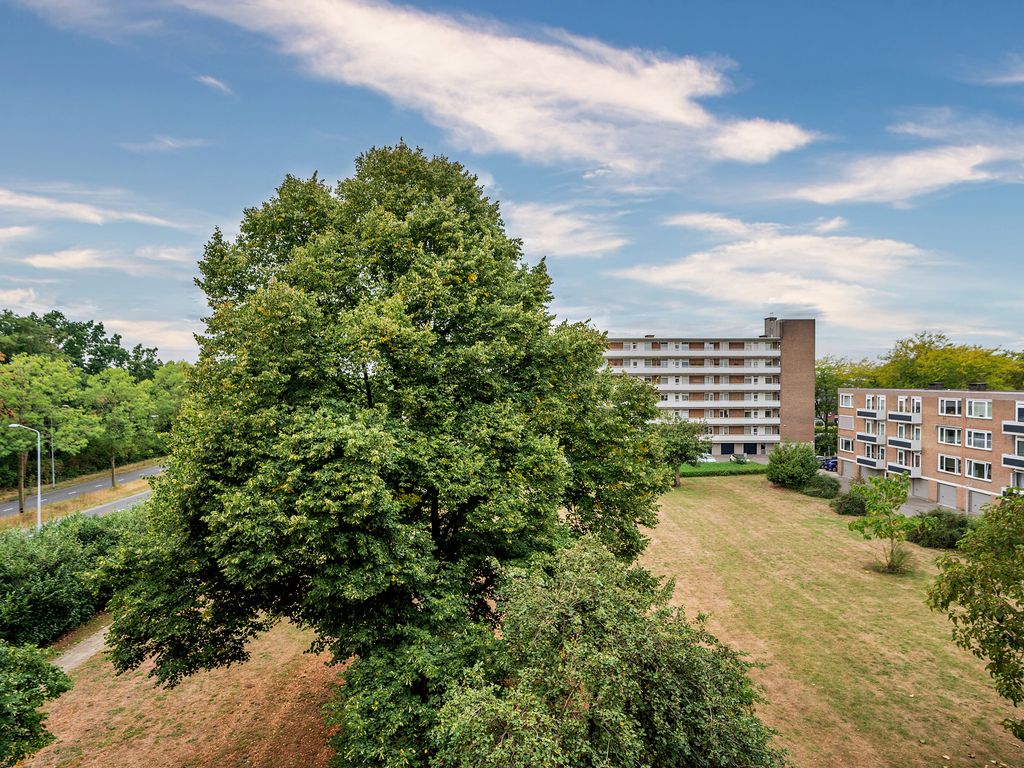 Albert Cuypstraat 82, VENLO