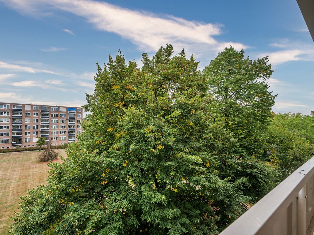 Albert Cuypstraat 82, VENLO