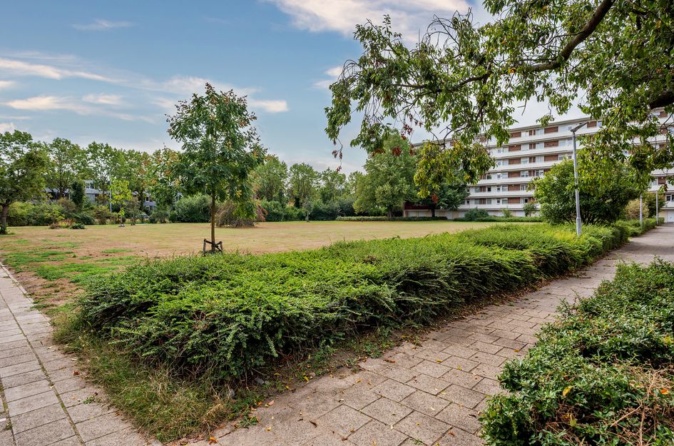Albert Cuypstraat 206