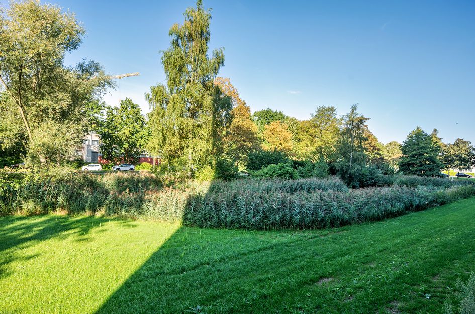 Rijnbeekstraat 5