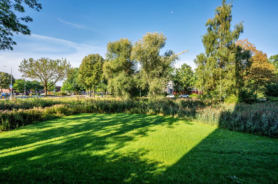 Rijnbeekstraat 5