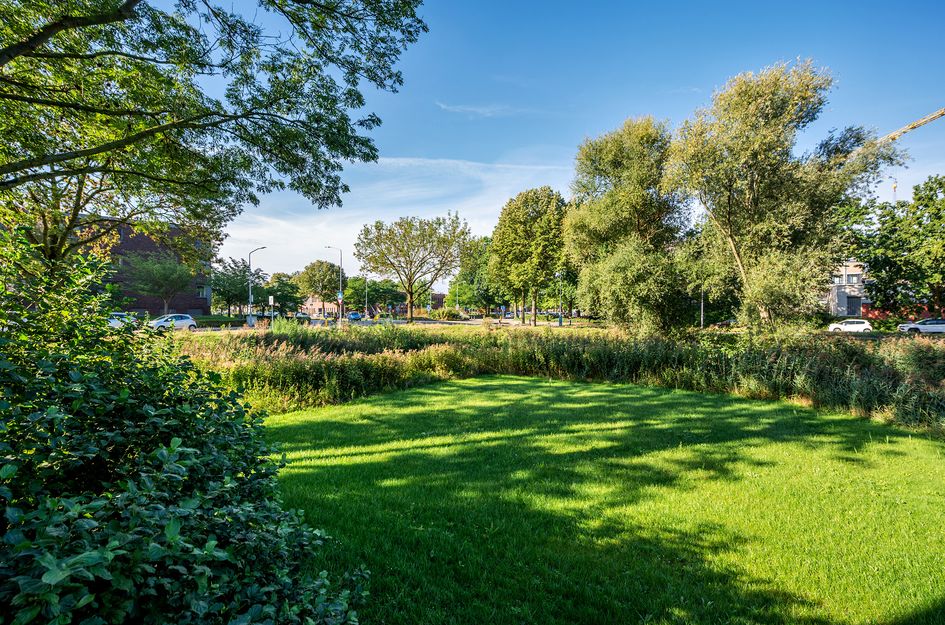 Rijnbeekstraat 5