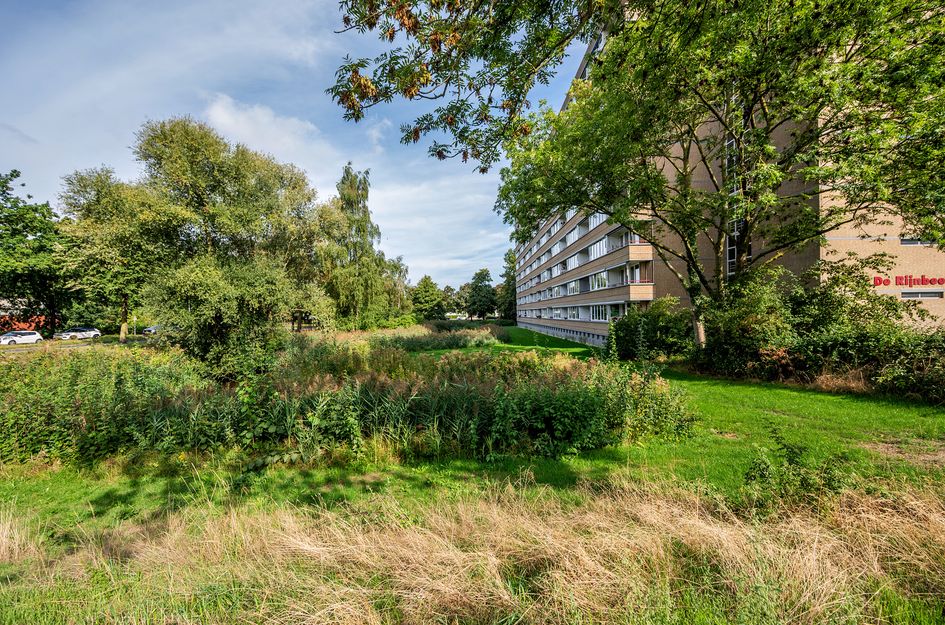 Rijnbeekstraat 5