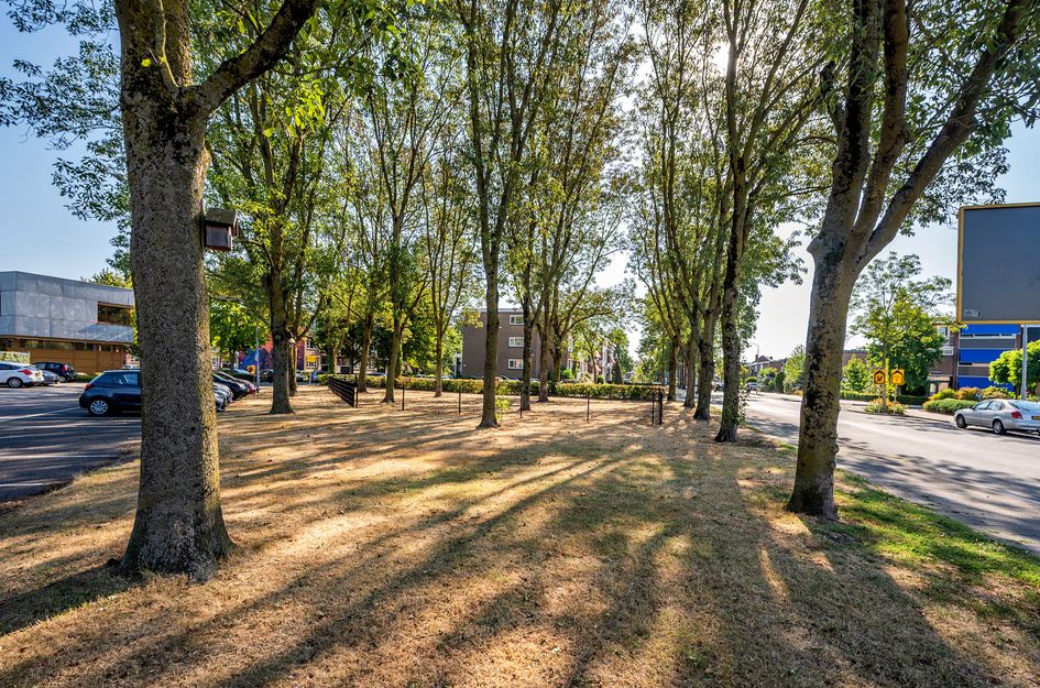 Veestraat 1