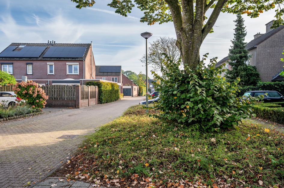 Fürstenbergstraat 99