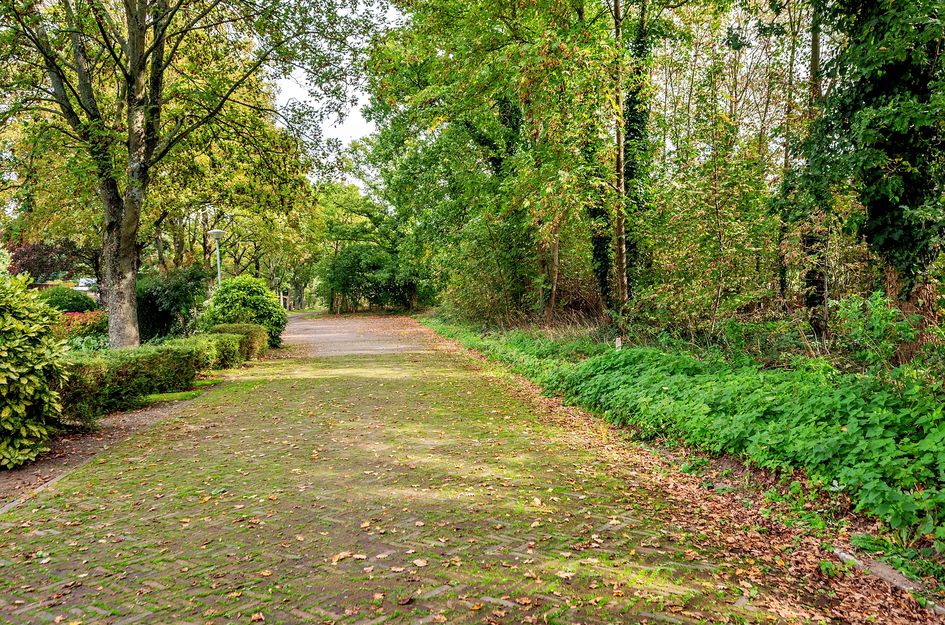 Landweerweg 11