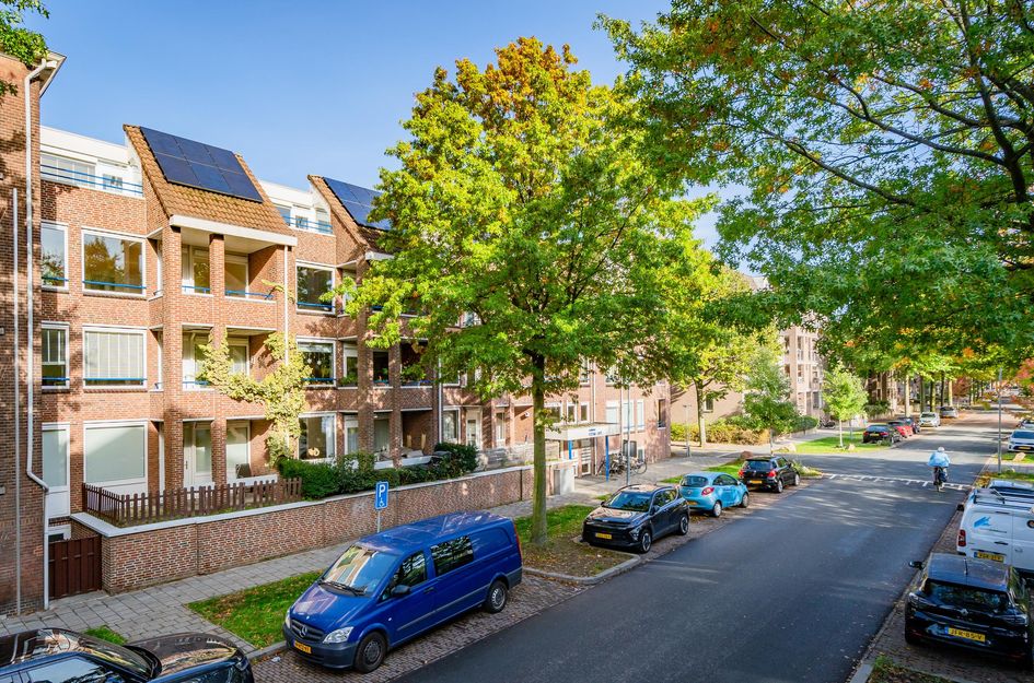 Deken van Oppensingel 117
