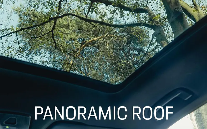 2-panoramic-roof.jpg