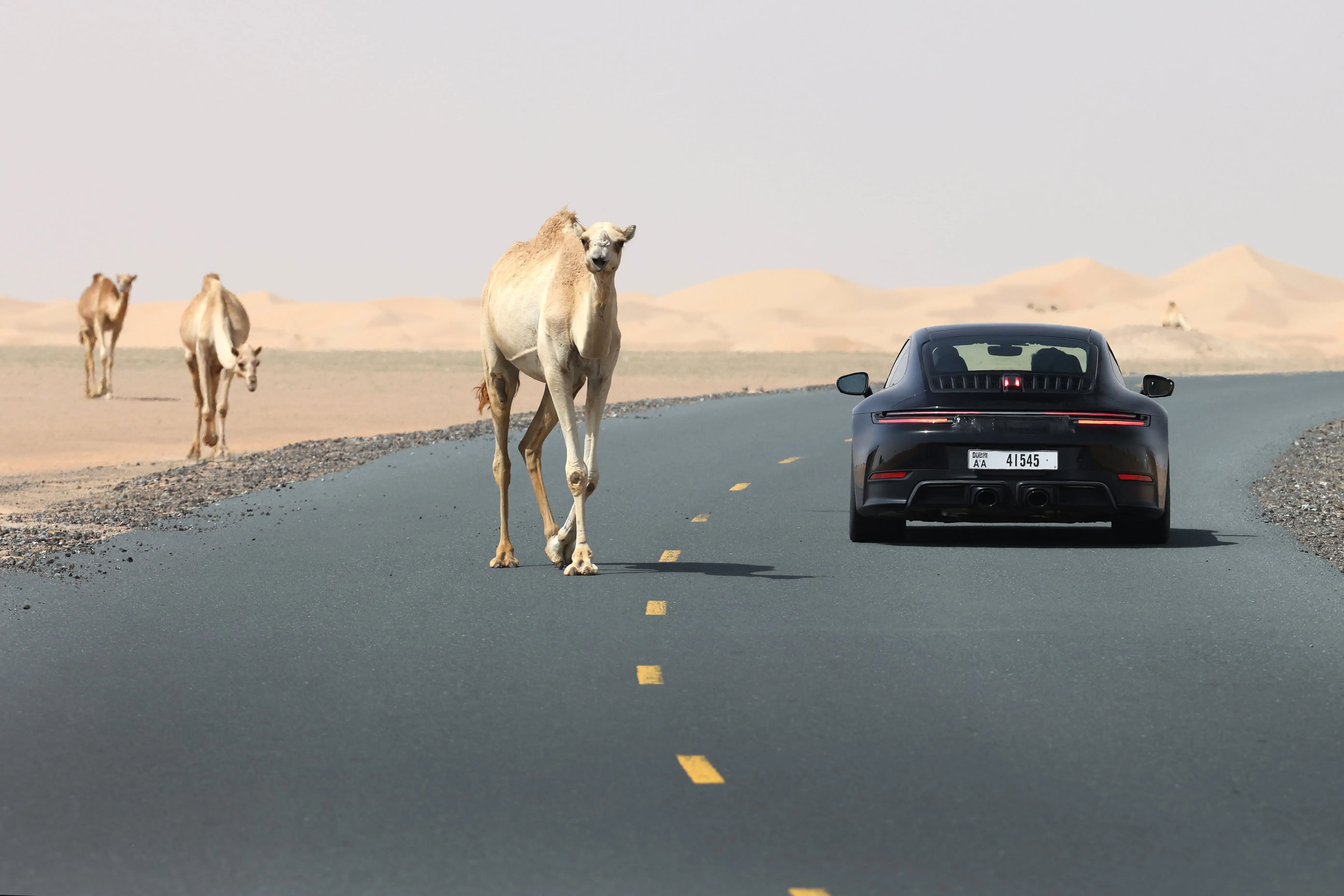 240321-dubai-151-min.jpg