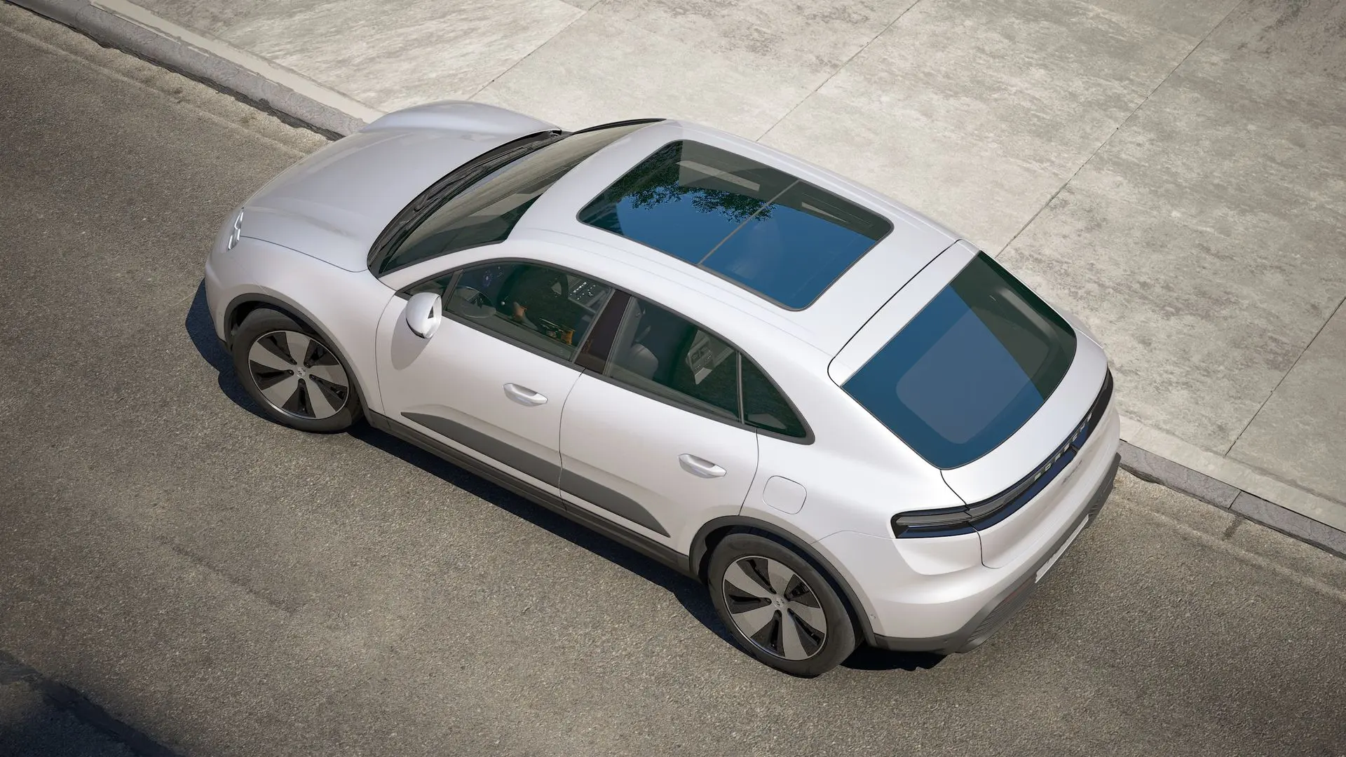 macan-4.jpg