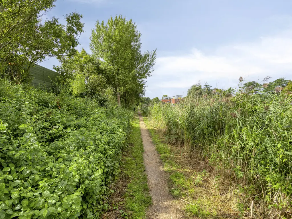 Hertenlaan 4, HONSELERSDIJK
