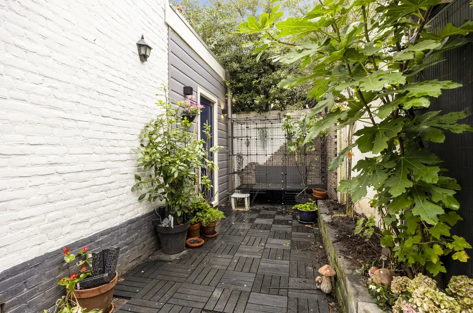 Govert Bidloostraat 51