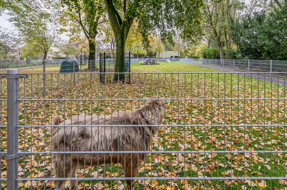 Dr Schaepmanstraat 55