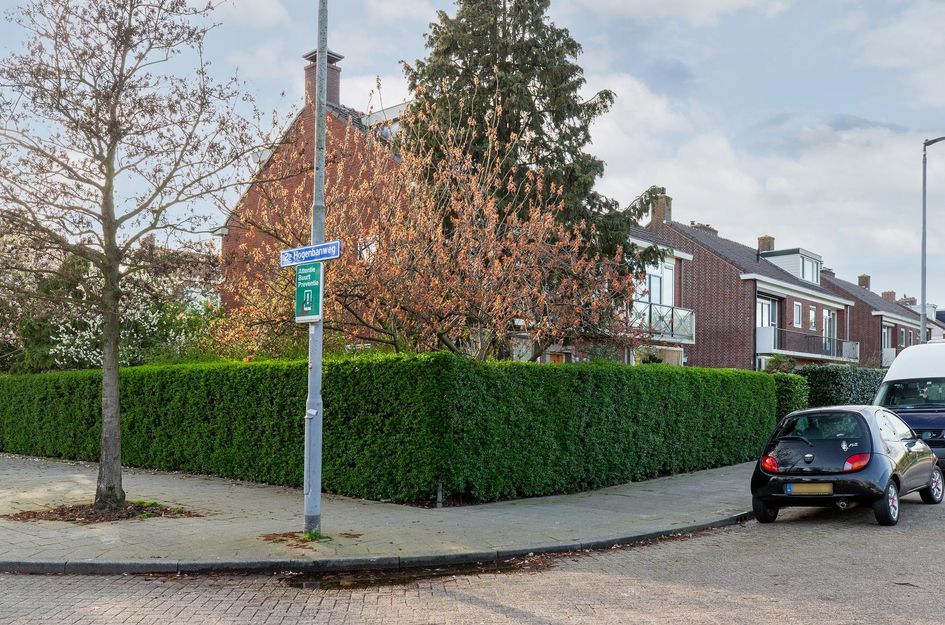 Albert Cuijpstraat 46