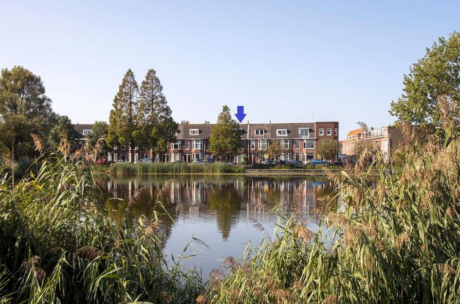 Wouwerlaan 19A
