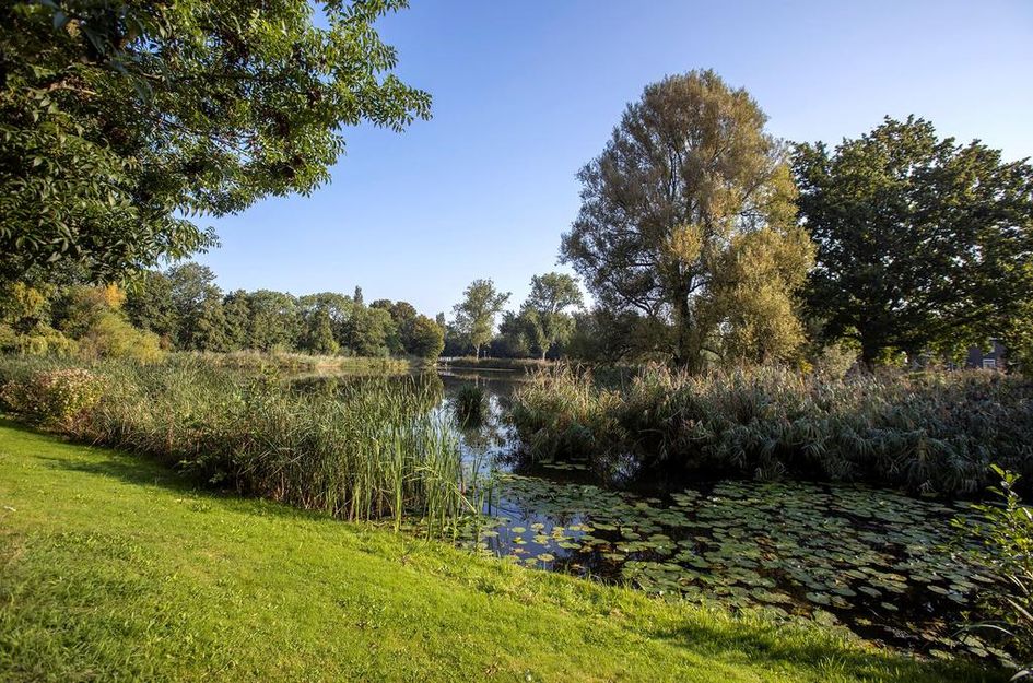 Wouwerlaan 19A