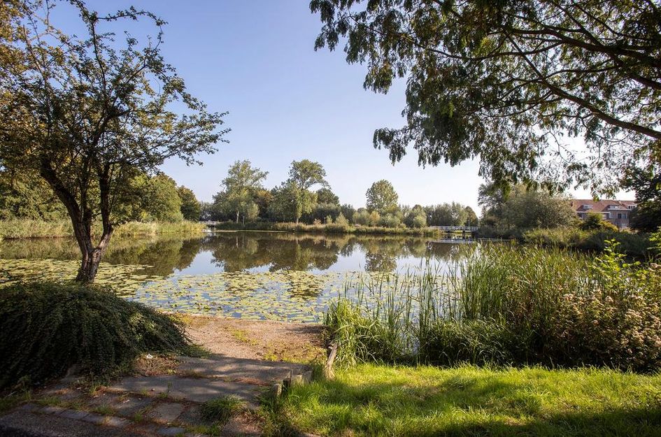 Wouwerlaan 19A