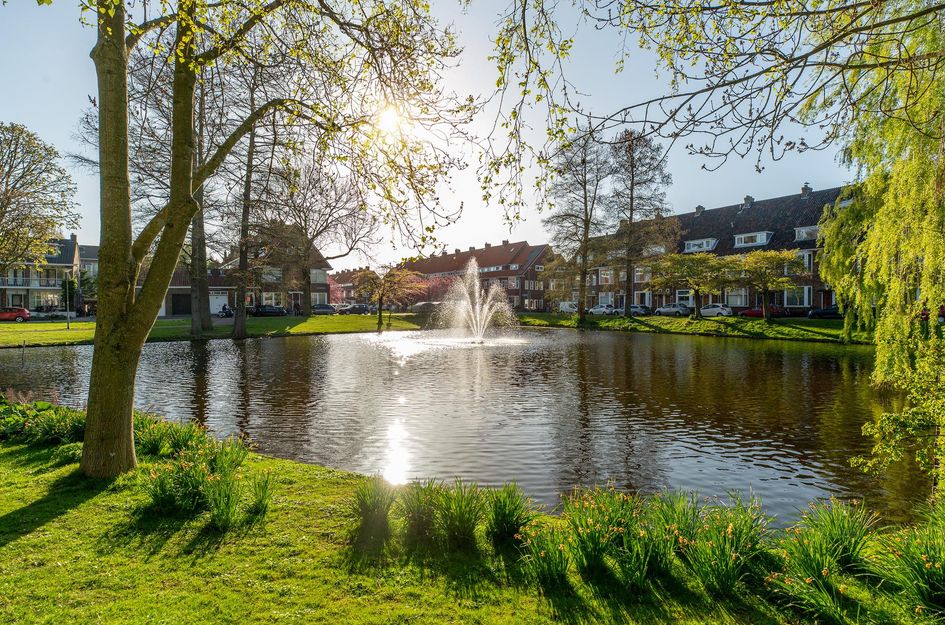 Albert Cuijpstraat 18