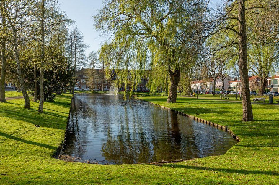 Albert Cuijpstraat 18
