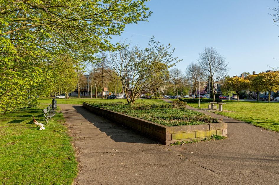 Albert Cuijpstraat 18