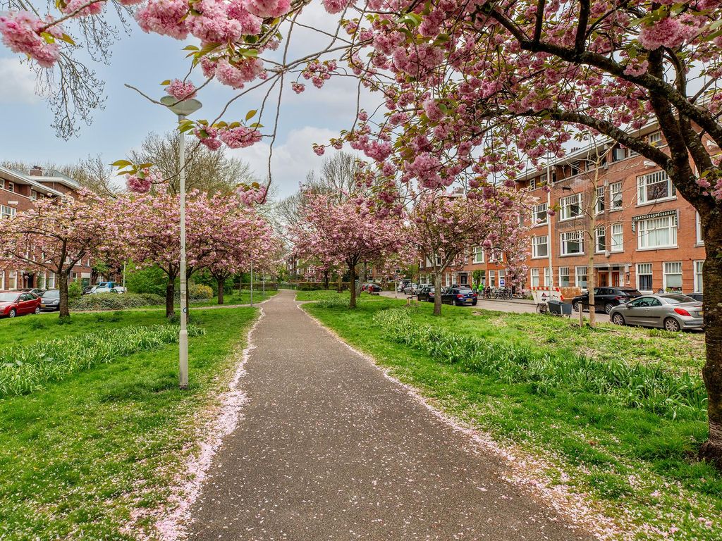 De Savornin Lohmanlaan 70B 01, ROTTERDAM