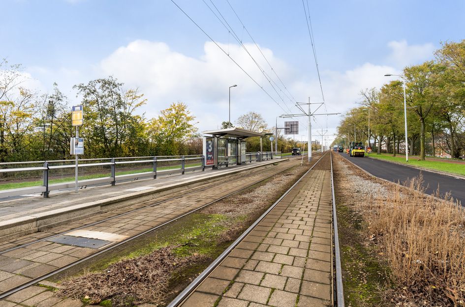 Schiedamseweg Beneden 465 01R