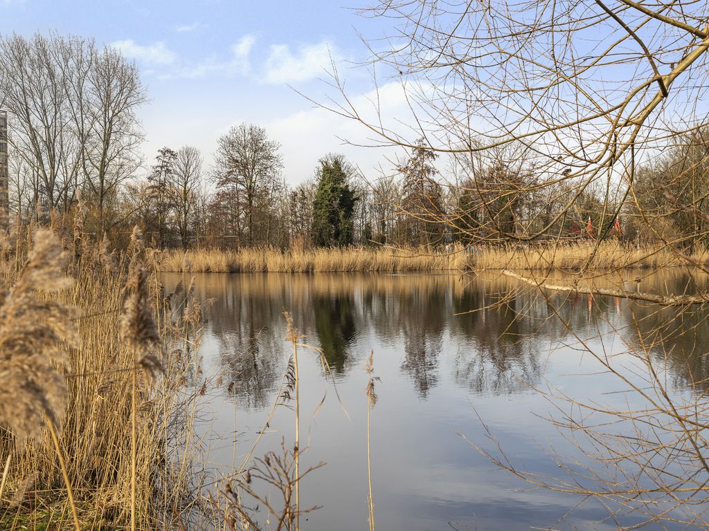 Plassingel 6, ROTTERDAM