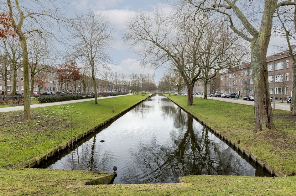 Lepelaarsingel 58C