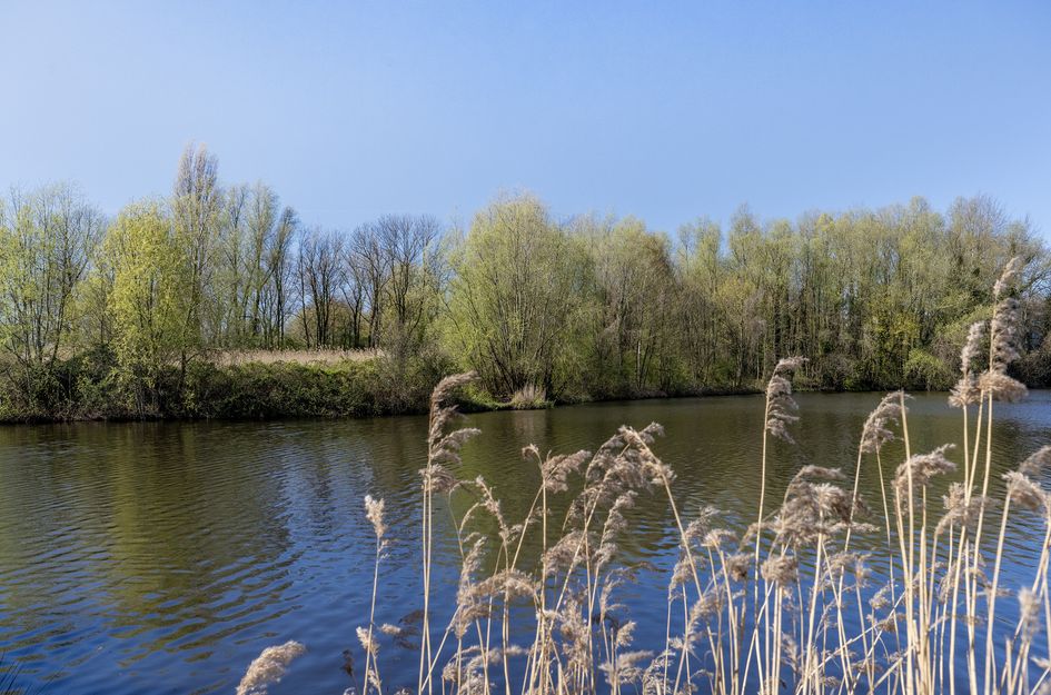 Rozenburgsestraat 44B