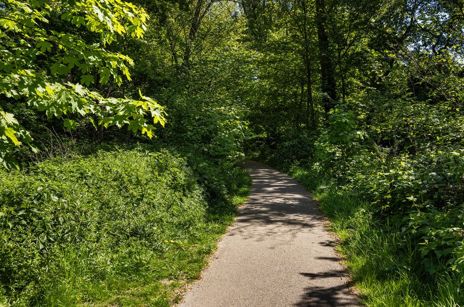 Zestienhovensekade 97A