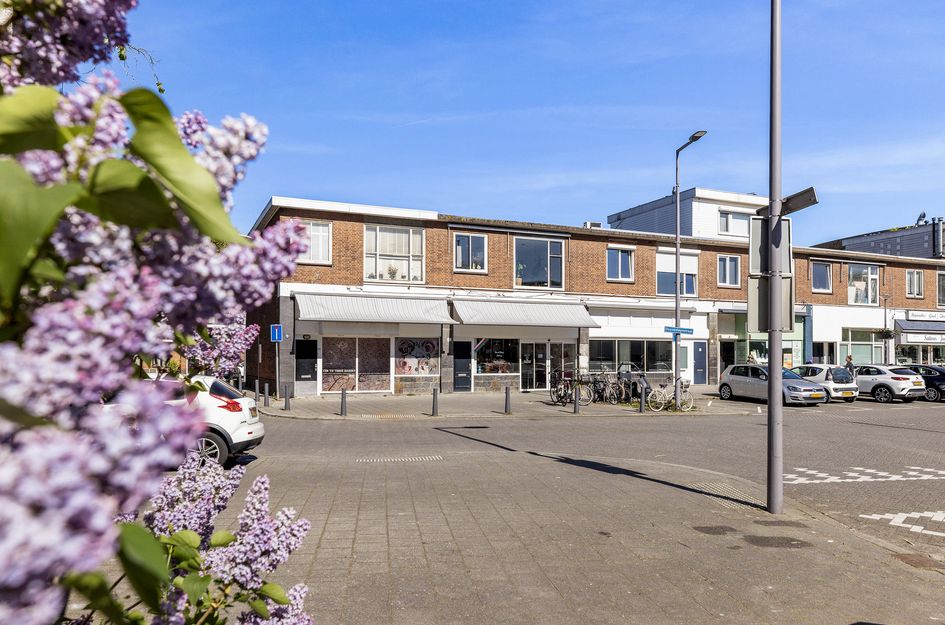Duyvesteynstraat 19
